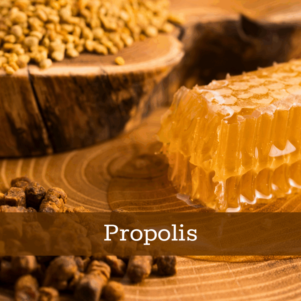 Kruidenhelen plant foto Propolis