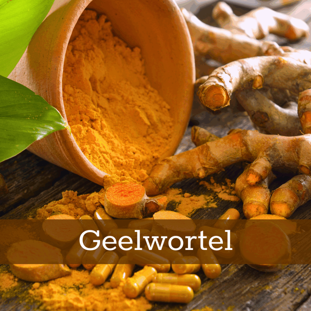 Kruidenhelen plant foto Geelwortel