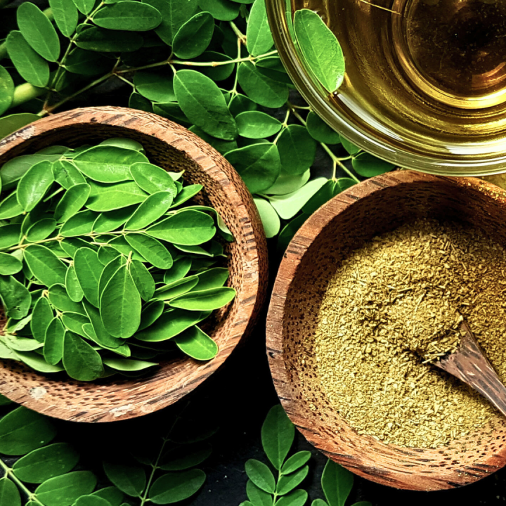 Kruidenhelen plant foto groot Moringa